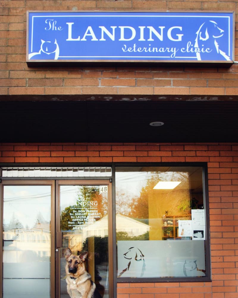 The Landing Veterinary Hospital in Gibsons